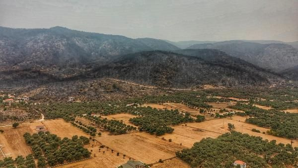 Görenlerin yüreği sızladı! Bodrum ve Milas yangının ardından simsiyah oldu