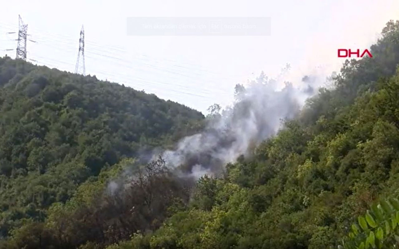 Son dakika: İstanbul Sarıyer'de orman yangını!