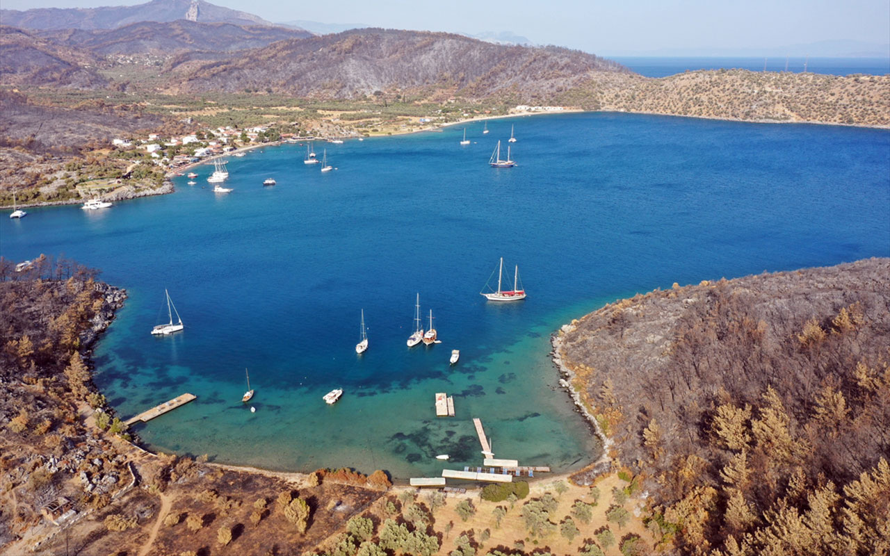 Yangın bitti Bodrum ve Milas'taki koylara yatlar ve tekneler gelmeye başladı