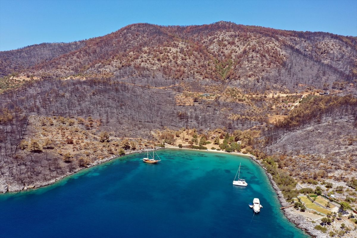 Yangın bitti Bodrum ve Milas'taki koylara yatlar ve tekneler gelmeye başladı