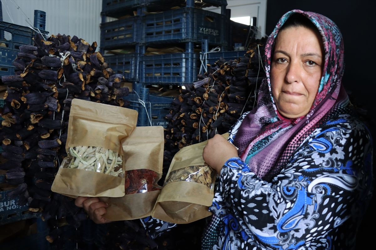 Kilis'te 30 kadın çalışıyor ekmek kapısı oldu: Eğlenceli geçiyor