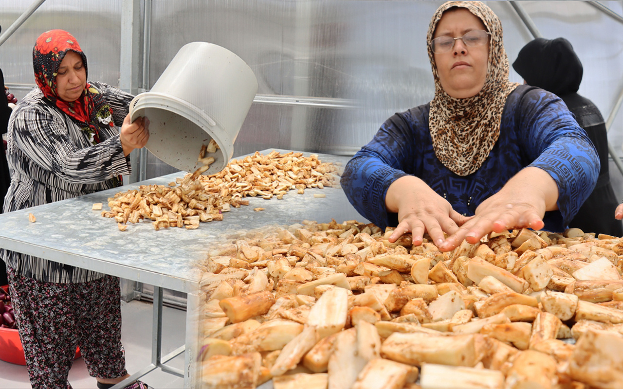 Kilis'te 30 kadın çalışıyor ekmek kapısı oldu: Eğlenceli geçiyor