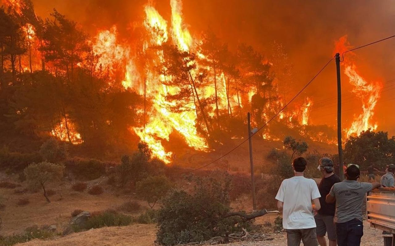 Tüm yangınlar kontrol altında! Bakan Pakdemirli duyurdu Antalya ve Muğla'da 2 yıl yasak