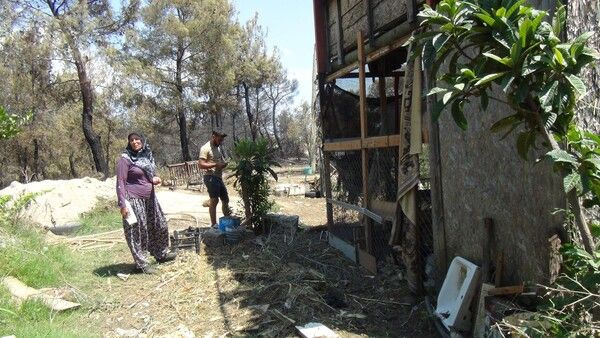 Antalya Manavgat'ta yangın yürekleri ağza getirdi! Her şey bir anda oldu: Böğüre böğüre ölmelerine...