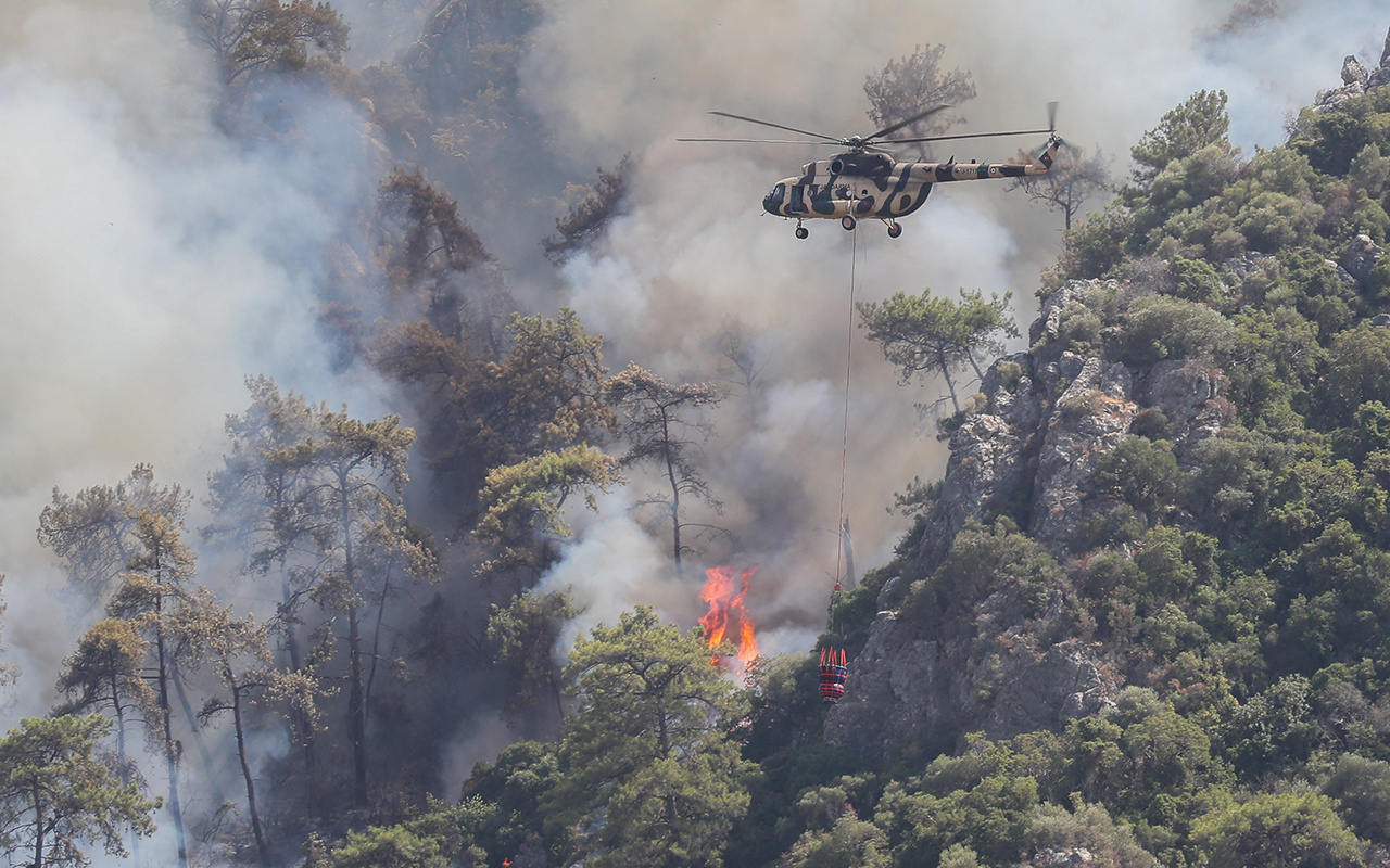 Orman yangınları Türkiye'de 15 milyon ton karbondioksit emisyonuna neden oldu