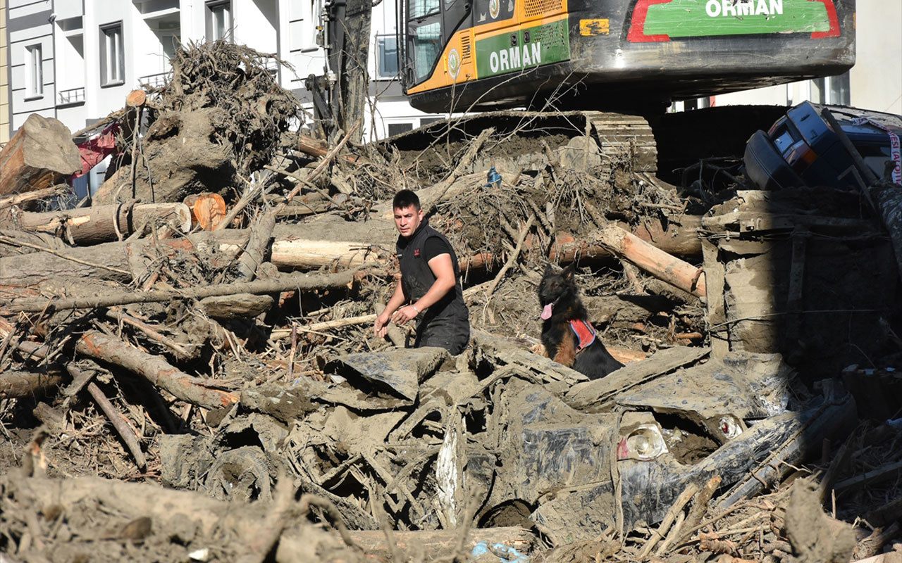 Kastamonu, Sinop ve Bartın'daki sel felaketinde can kaybı 77'ye çıktı
