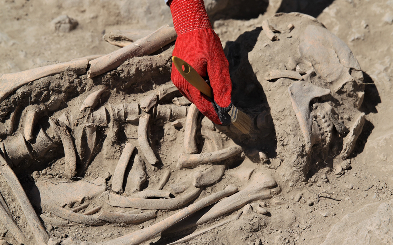 Van'daki kazılarda 2 mezar daha bulundu yeni bulgulara ulaşıldı