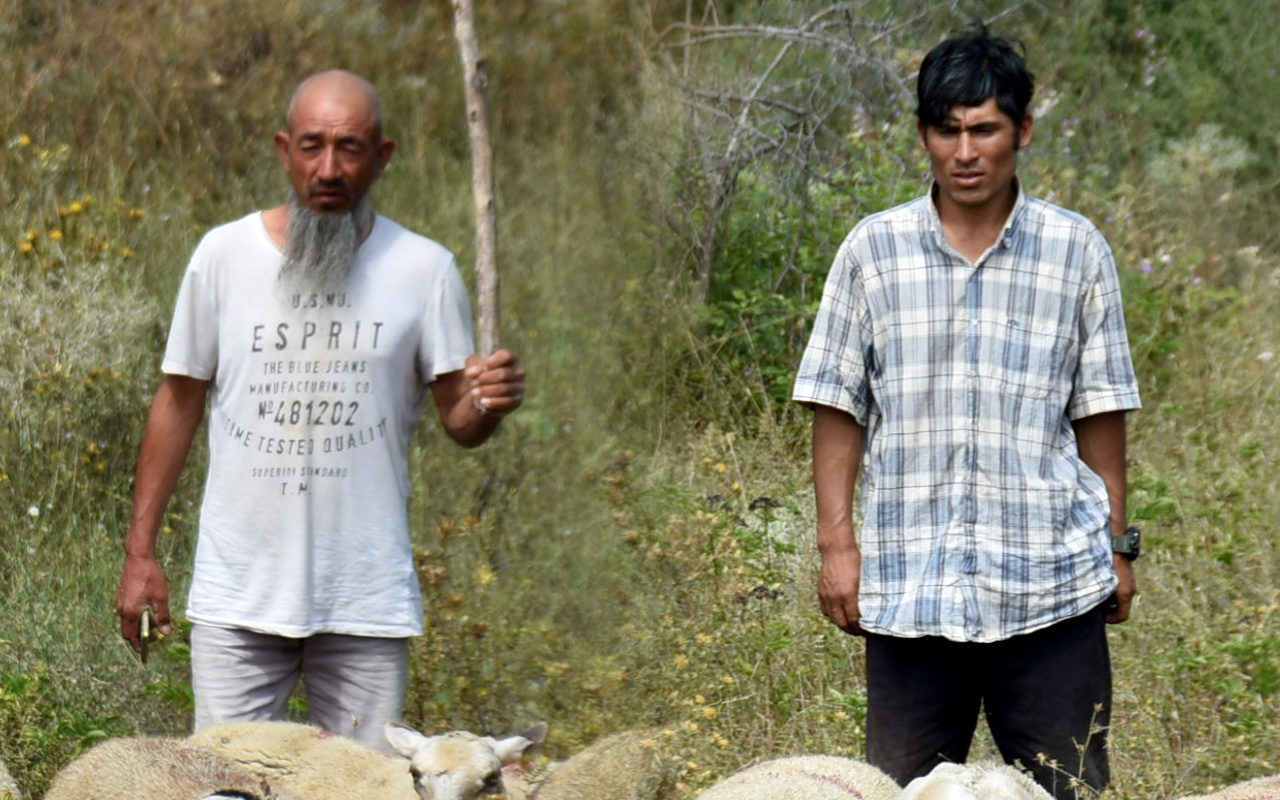 Taliban'ın iğrençliklerini Edirne'de çobanlık yapan Afganlar anlattı: Evleri basıp kadınlara...