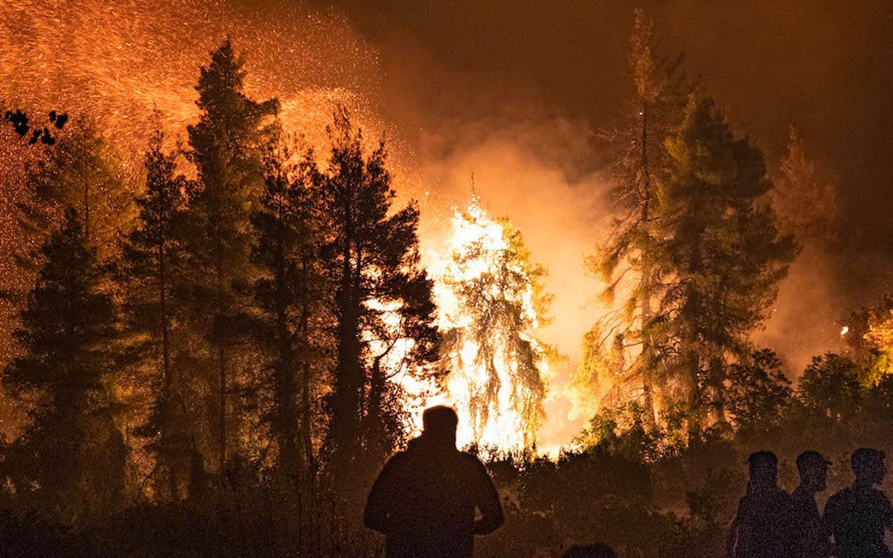 Yunanistan halen yanıyor orman yangınları söndürülemedi