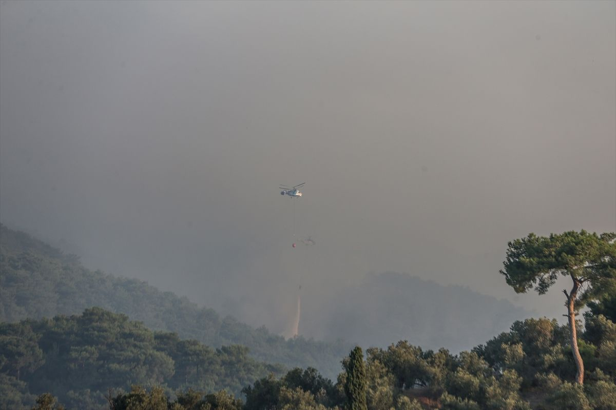 Kazdağları Milli Parkı'ndaki orman yangınında son durum! 2 gün sonunda iyi haber