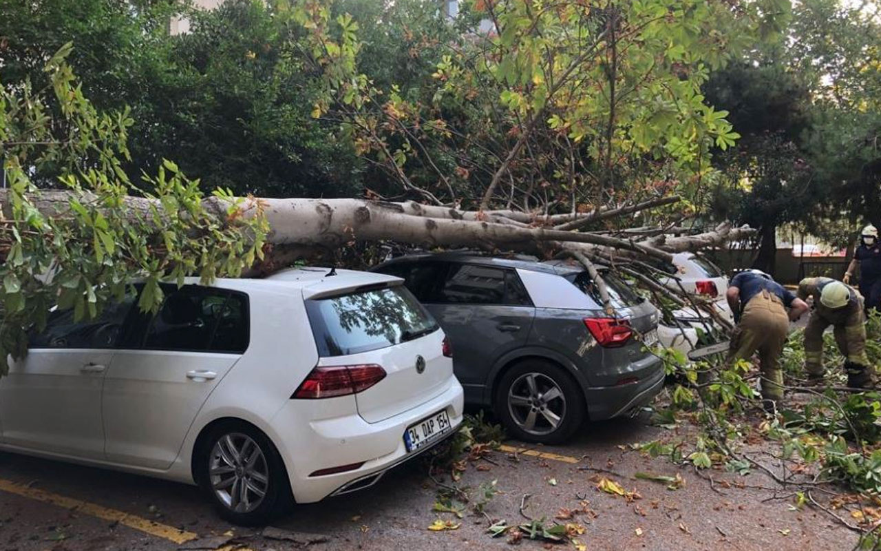 Kadıköy'de site sakinleri büyük bir gürültüyle uyandılar 4 araç kullanılamaz hale geldi