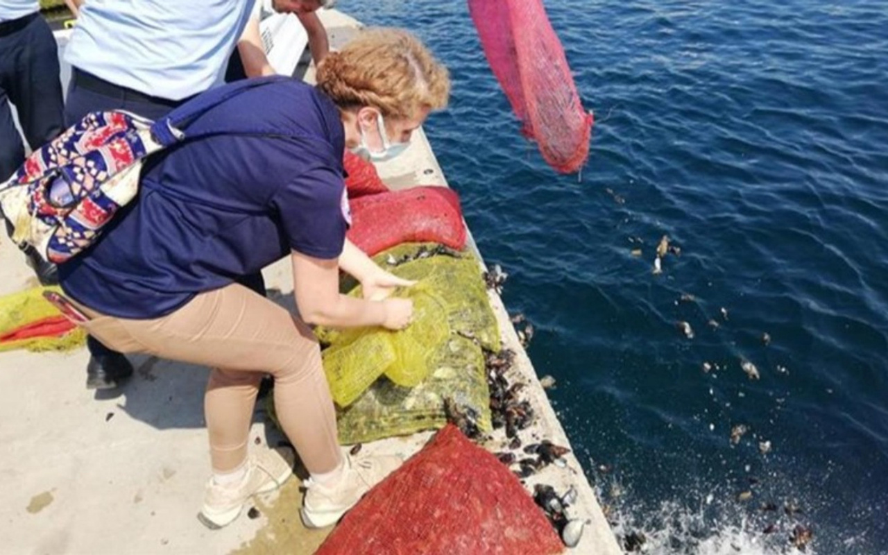 Sarıyer'de kaçak avlanan 1 ton midye ele geçirildi