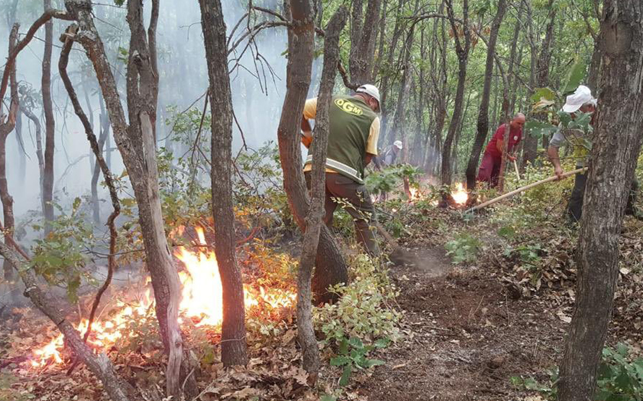 Tunceli'deki orman yangını için Orman Müdürlüğü'nden açıklama
