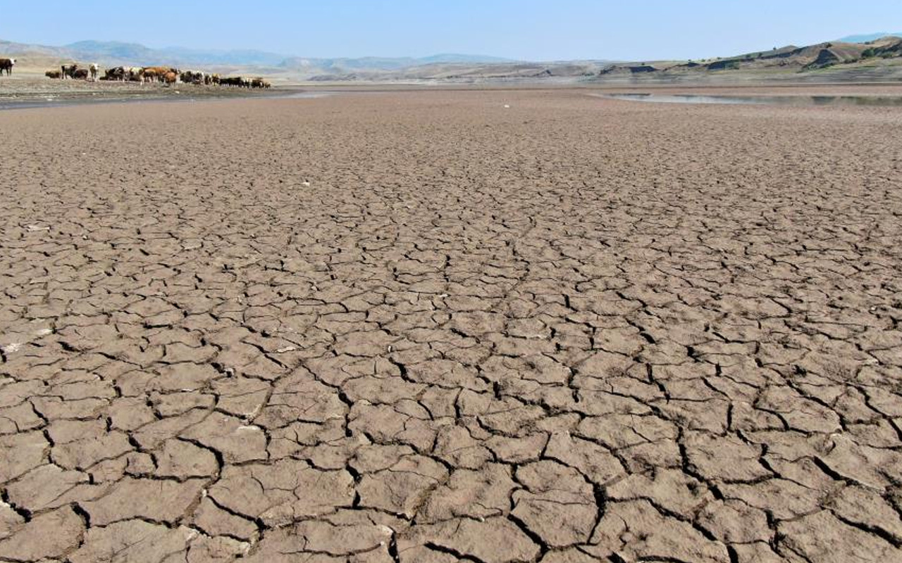 Sivas'ta kuraklık alarmı: 64 kilometrelik Kılıçkaya Barajı çöle döndü