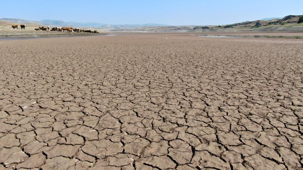 Sivas'ta kuraklık alarmı: 64 kilometrelik Kılıçkaya Barajı çöle döndü