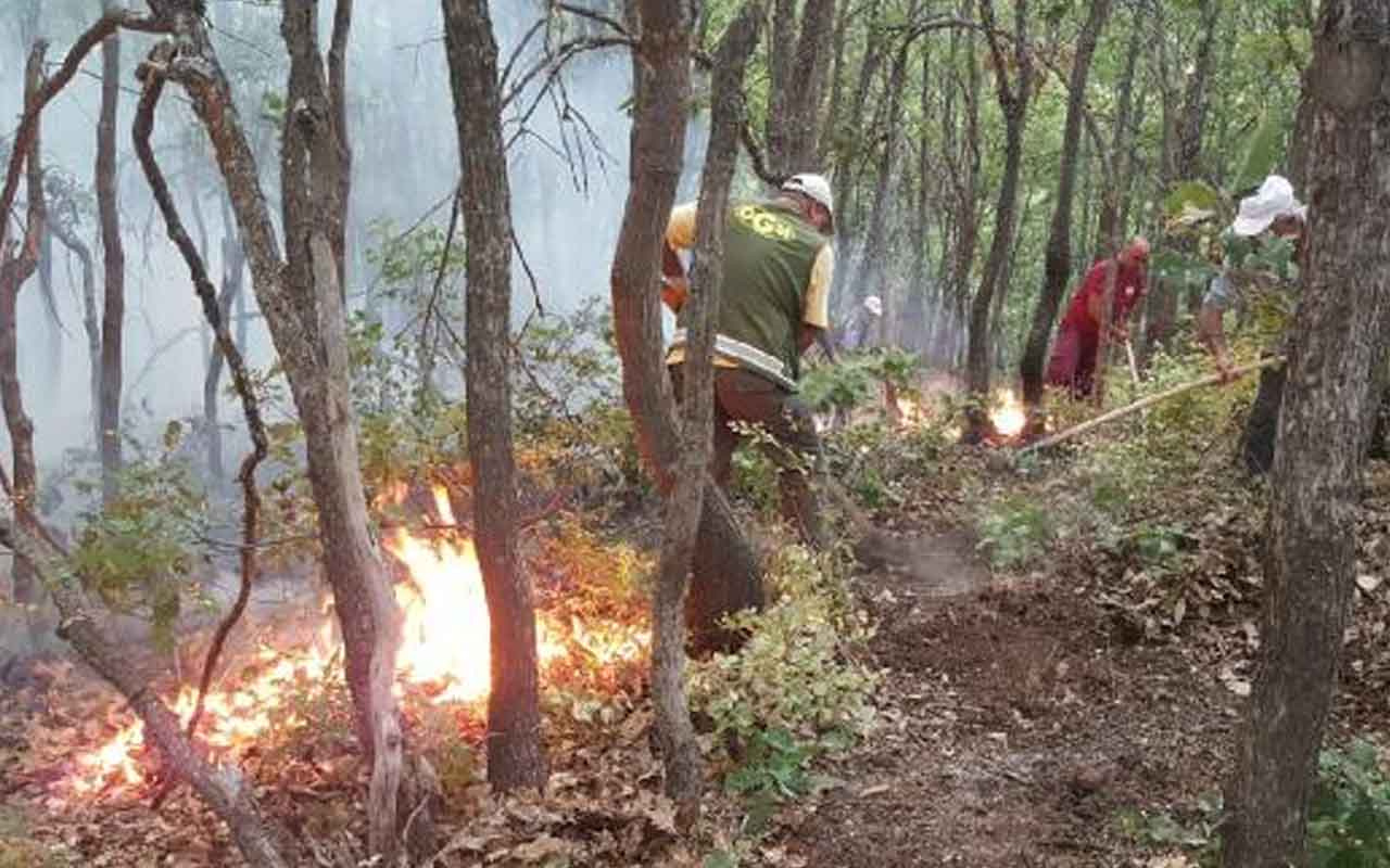 OGM'den açıklama: 6 orman yangını kontrol altına alındı, Tunceli'de tek noktada yangın sürüyor