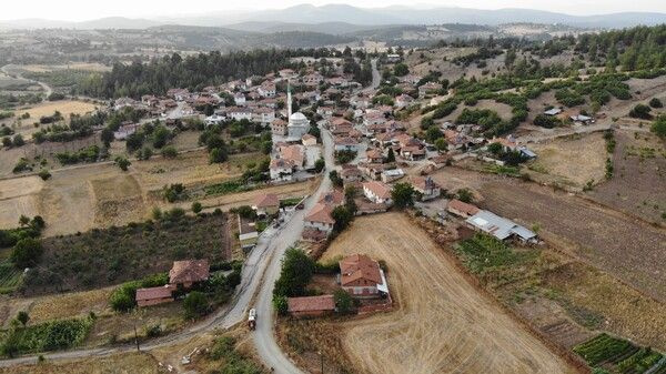 Bursa'da gören hayran kaldı! Ömürlerine ömür katıyorlar: 300 yıla kadar ömrü olur