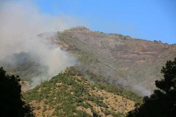 Munzur Vadisi Milli Park’taki yangın sürüyor! Mehmetçik de bölgede