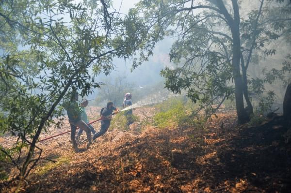 Munzur Vadisi Milli Park’taki yangın sürüyor! Mehmetçik de bölgede