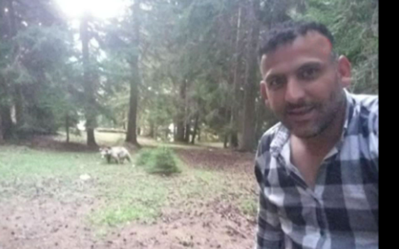 Artvin Şavşat'ta taksi şoförü ormanda rastladığı ayı ile özçekim yaptı o anları kameraya aldı