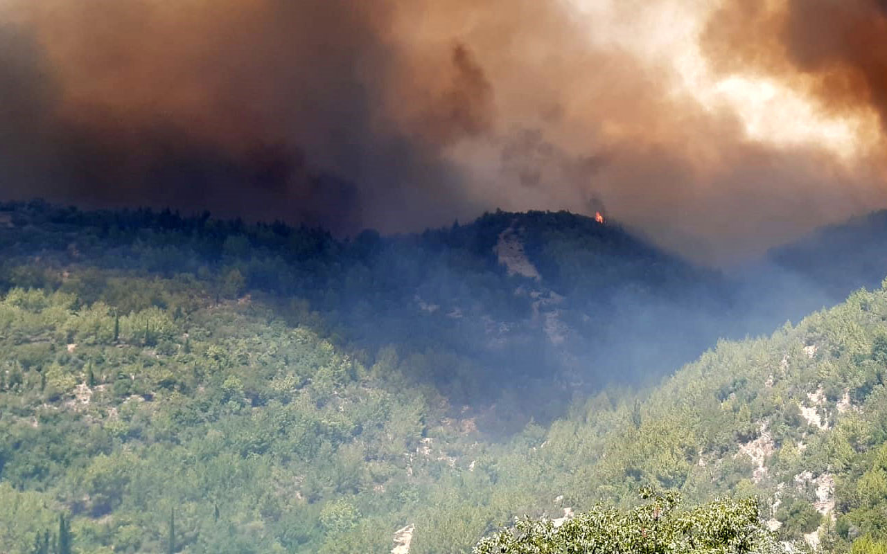 Orman yangınlarından etkilenen 5 ilde elektrik abonelerinin borçları 3 ay süre ile ertelendi
