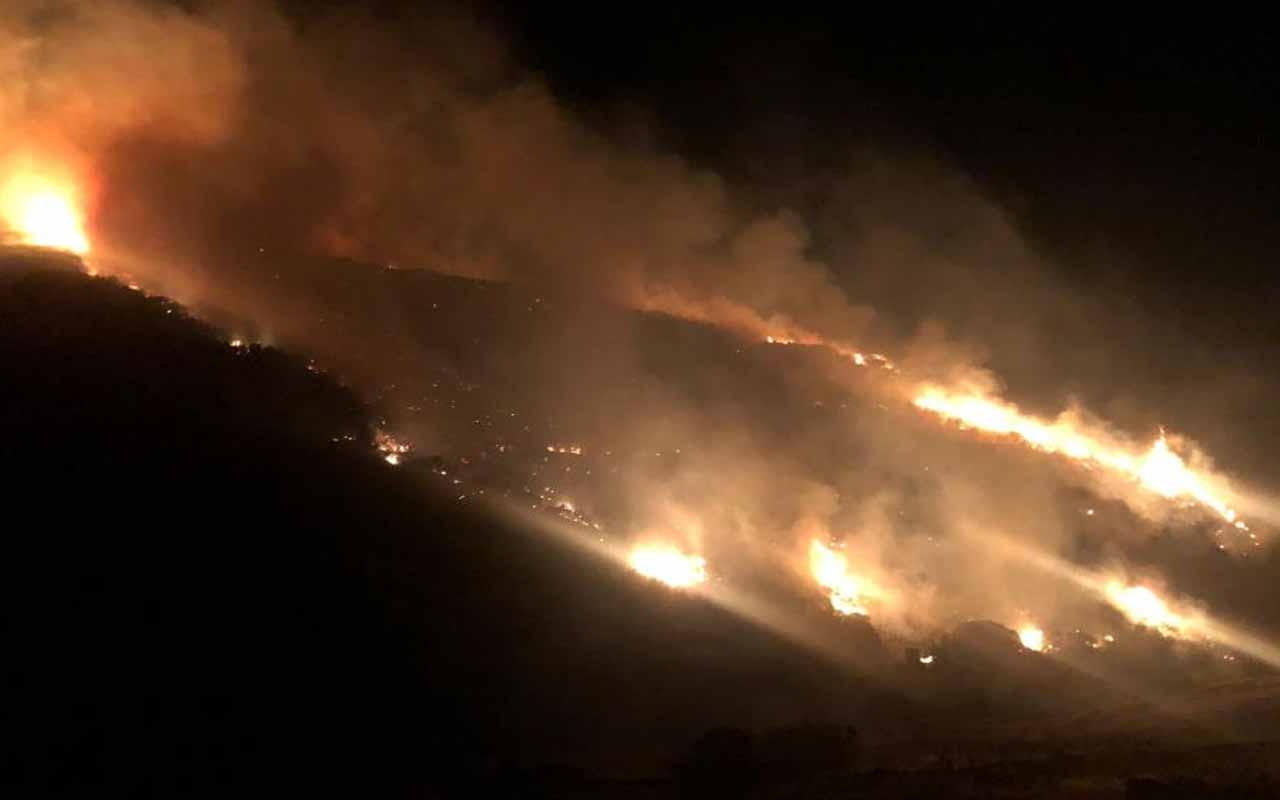 Manisa'nın Kula ilçesinde orman yangını