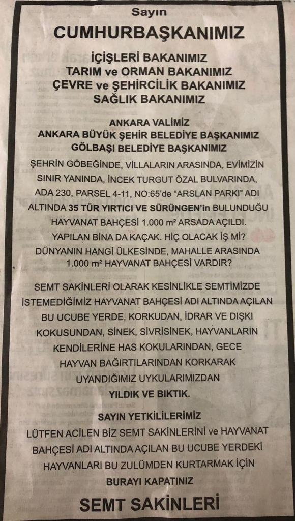 Maymun da kaçmıştı! Aslan kükremesinden uyuyamayan mahalleli ilan verdi Erdoğan ve bakanlara seslendi!