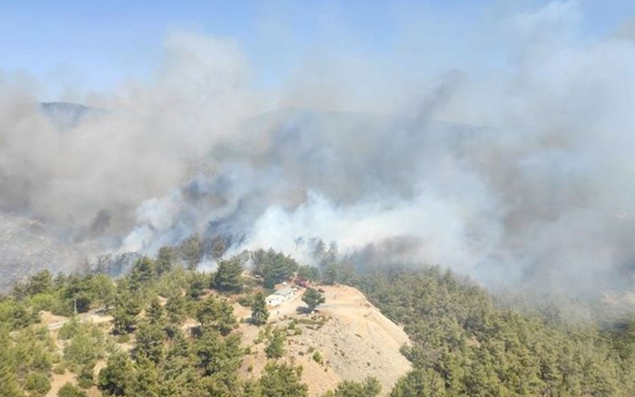 Son dakika Milas'ta orman yangını havadan ve karadan müdahale ediliyor