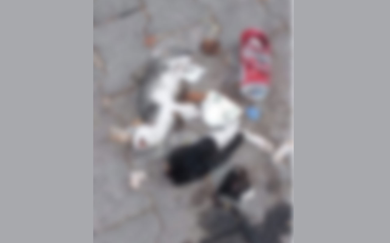 Giresun'da vahşet! Ölü 2 yavru kedi bulundu birinin bacakları ve başı kesilmiş...