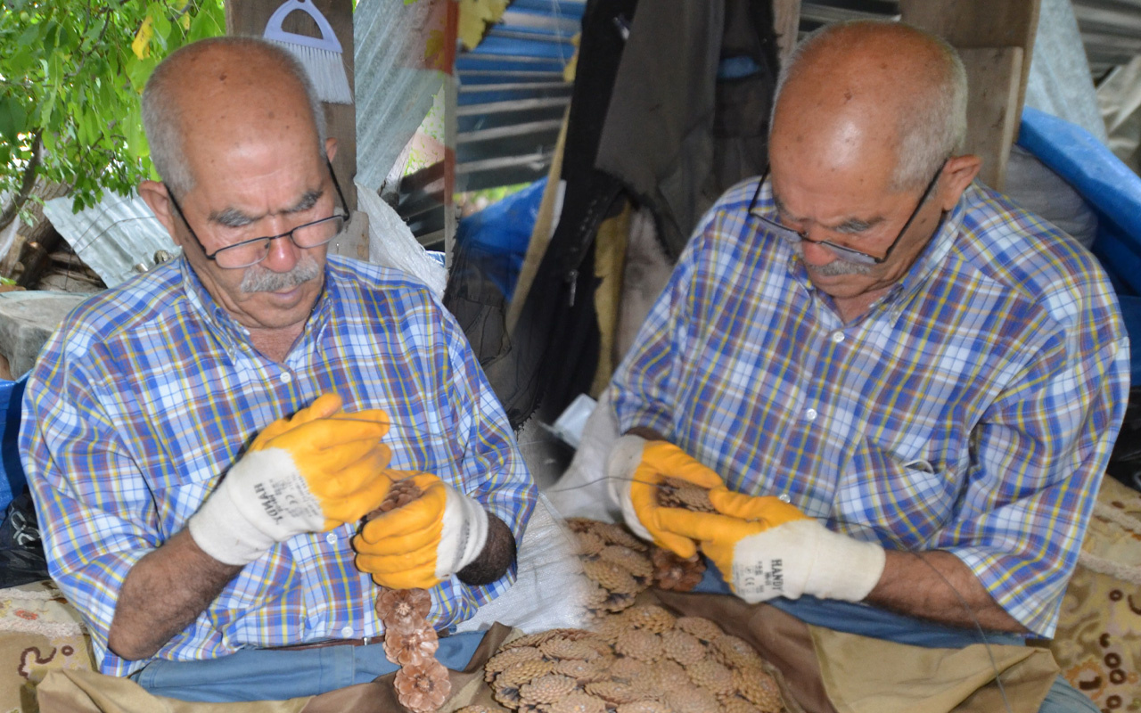 65 ülke arasından birinci oldu! Antalya'da şifa ararken bu işe başladı: Fiyatı duyan inanamadı