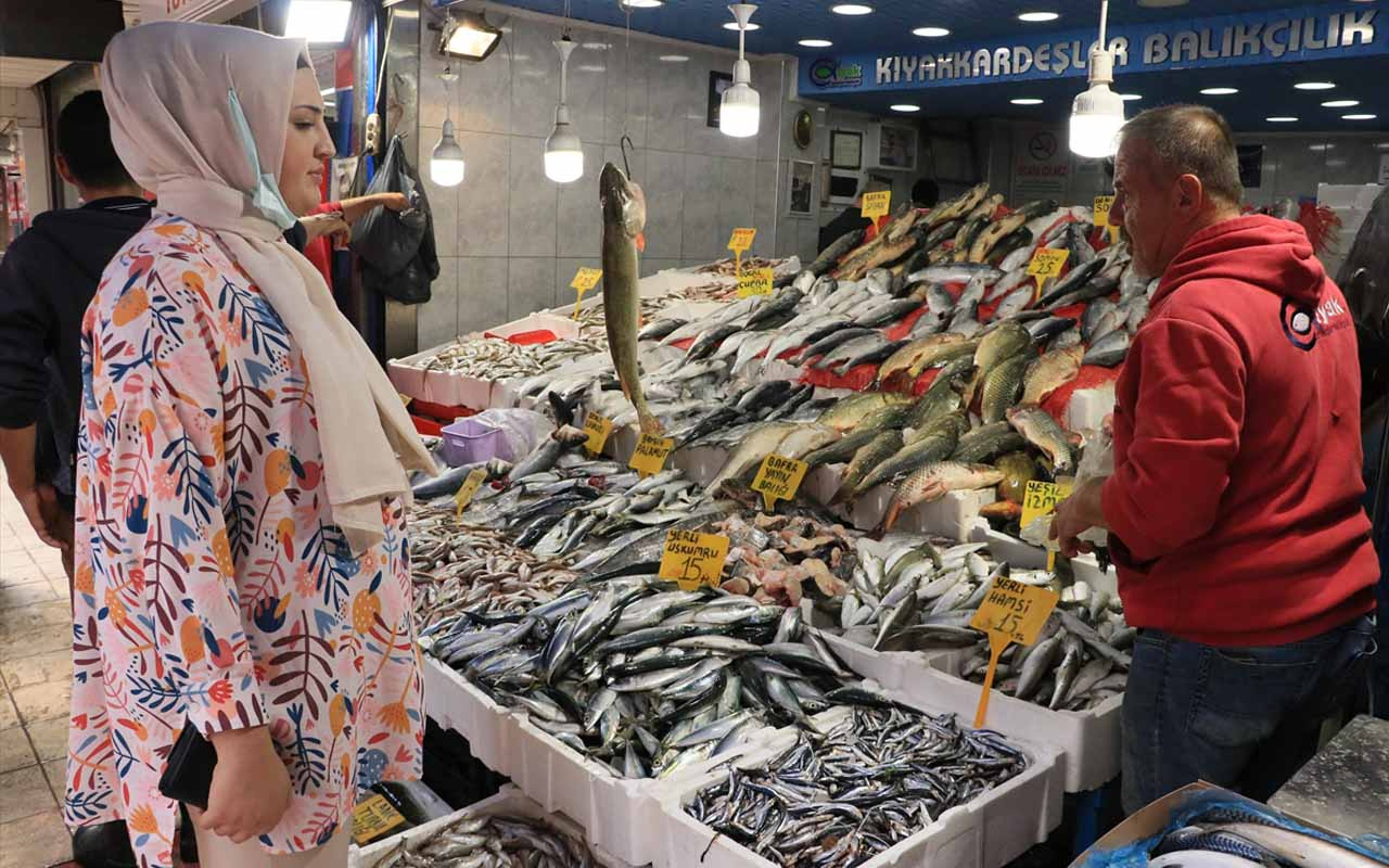 Bu yıl hamsi bol olacak gibi palamut ise az; Balık fiyatları düşer mi?