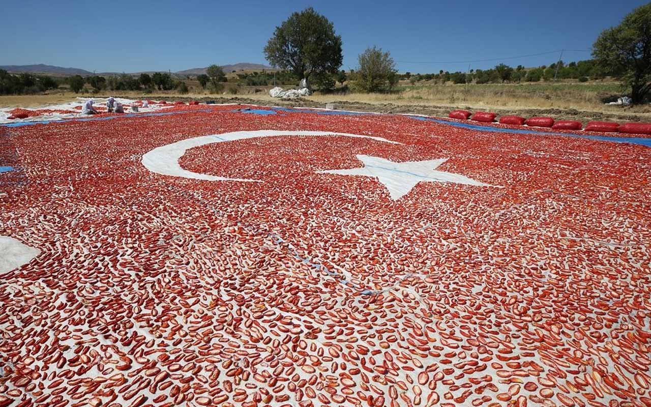 Elazığ'da kurutmalık domateslerle Türkiye haritası oluşturuldu