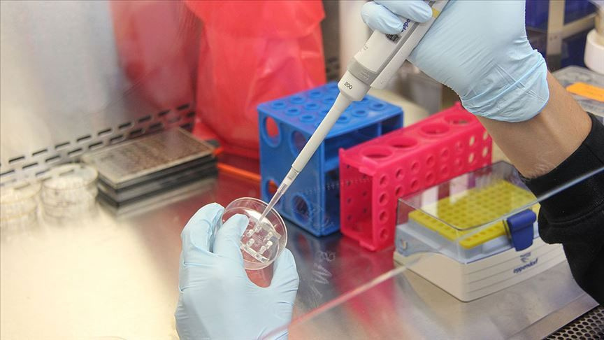PCR testi yaptırmayan işten kovulabilir mi? 13 soruda PCR testine dair tüm detaylar