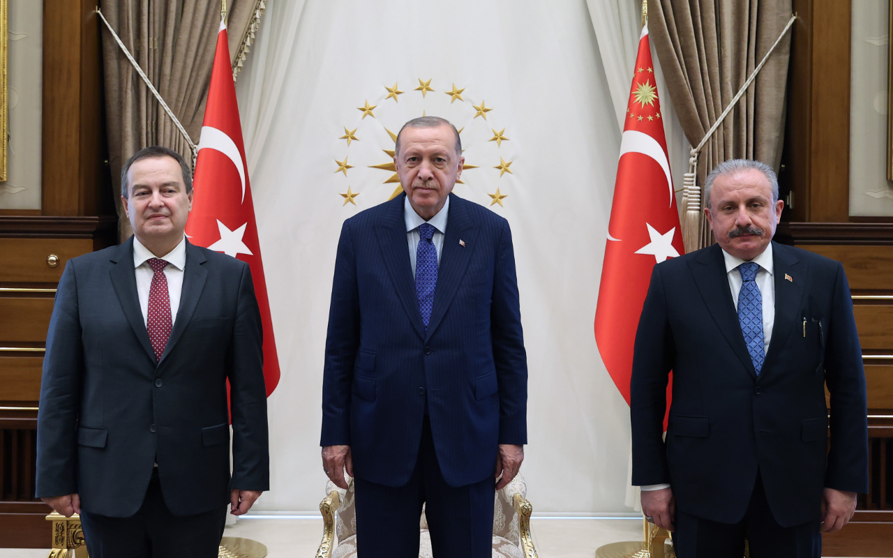 Cumhurbaşkanı Erdoğan Sırbistan Meclis Başkanı Daçiç ile görüşüyor