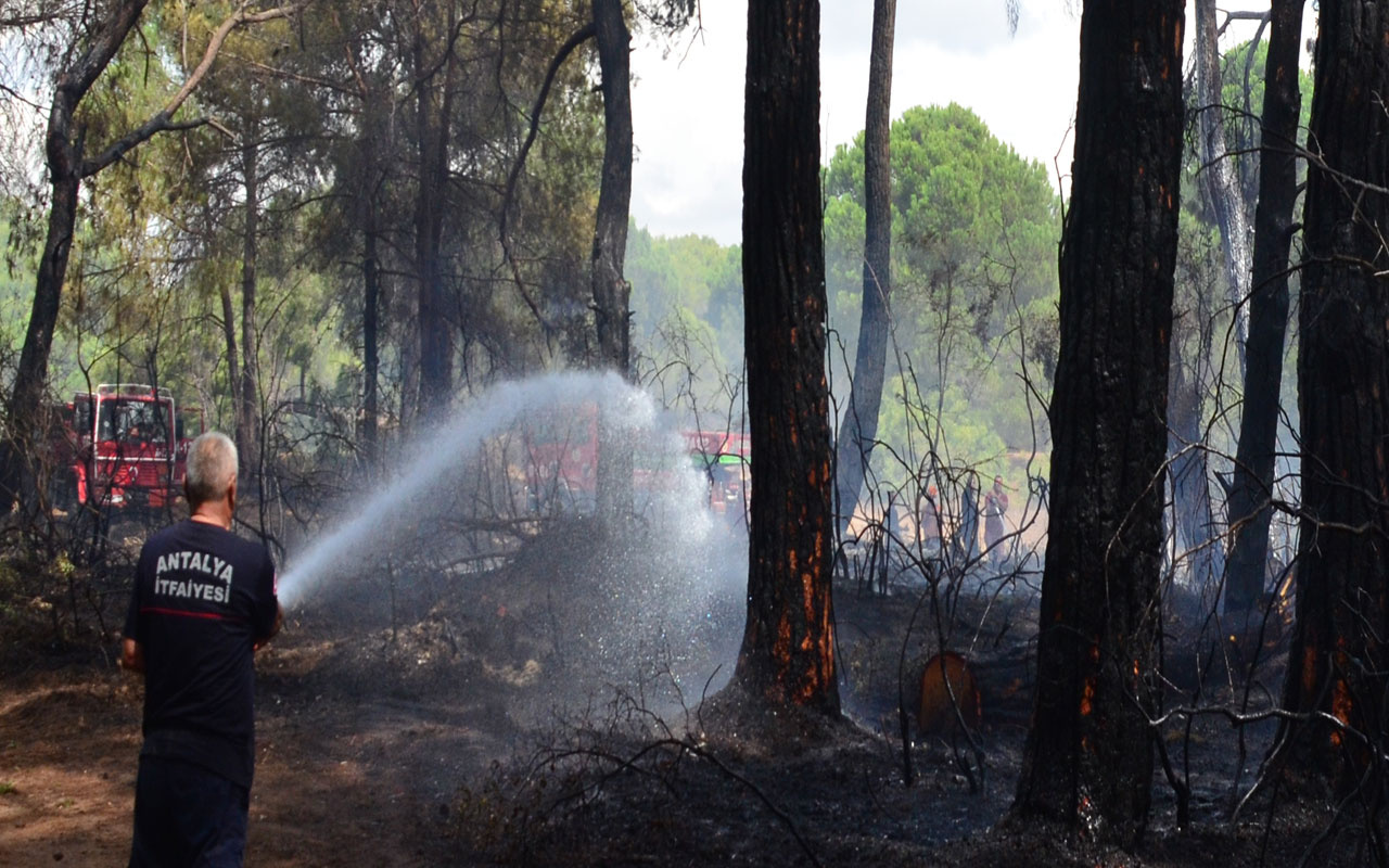 Manavgat'ta orman yangını çıktı! Anında müdahale edildi