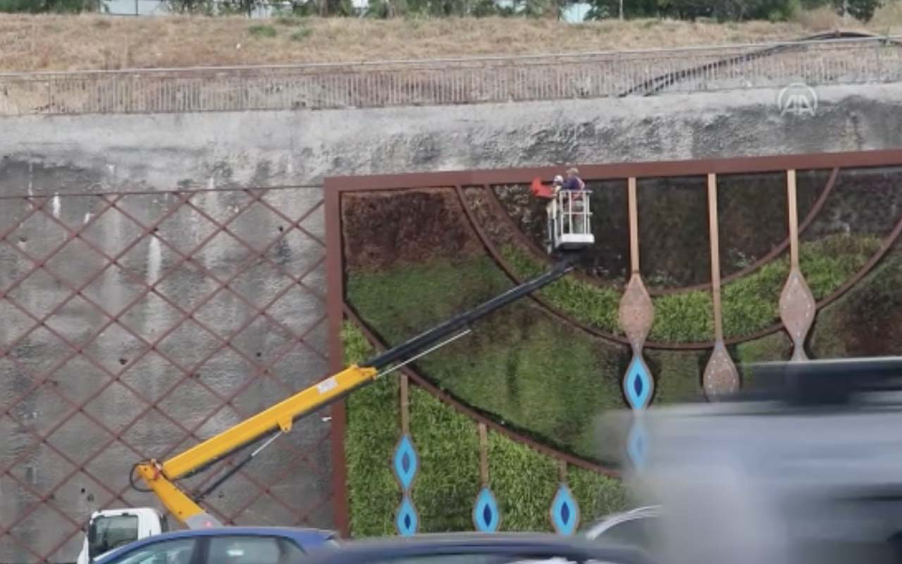 İBB, İstanbul'un dikey bahçelerini sökmeye devam ediyor!