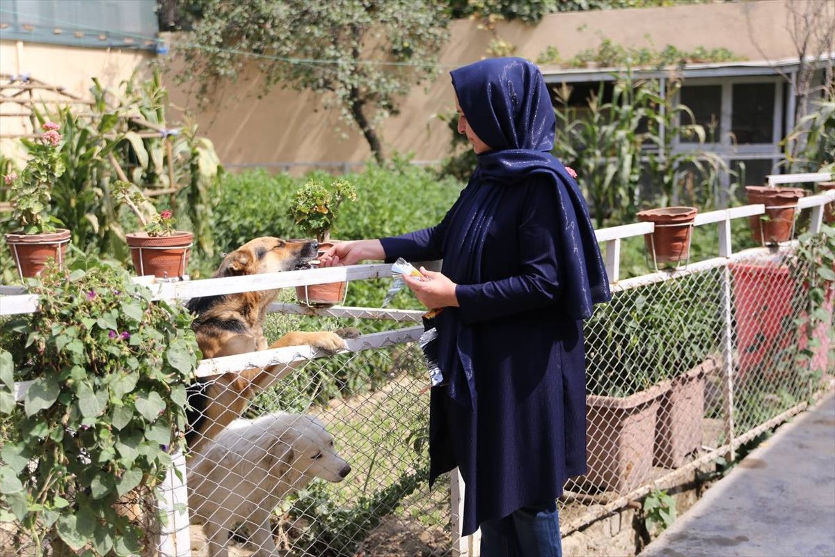 Afganlar kaçarken işsiz kalan Türk kadın bu işe başladı! Hayatı değişti: Taliban nedeniyle...