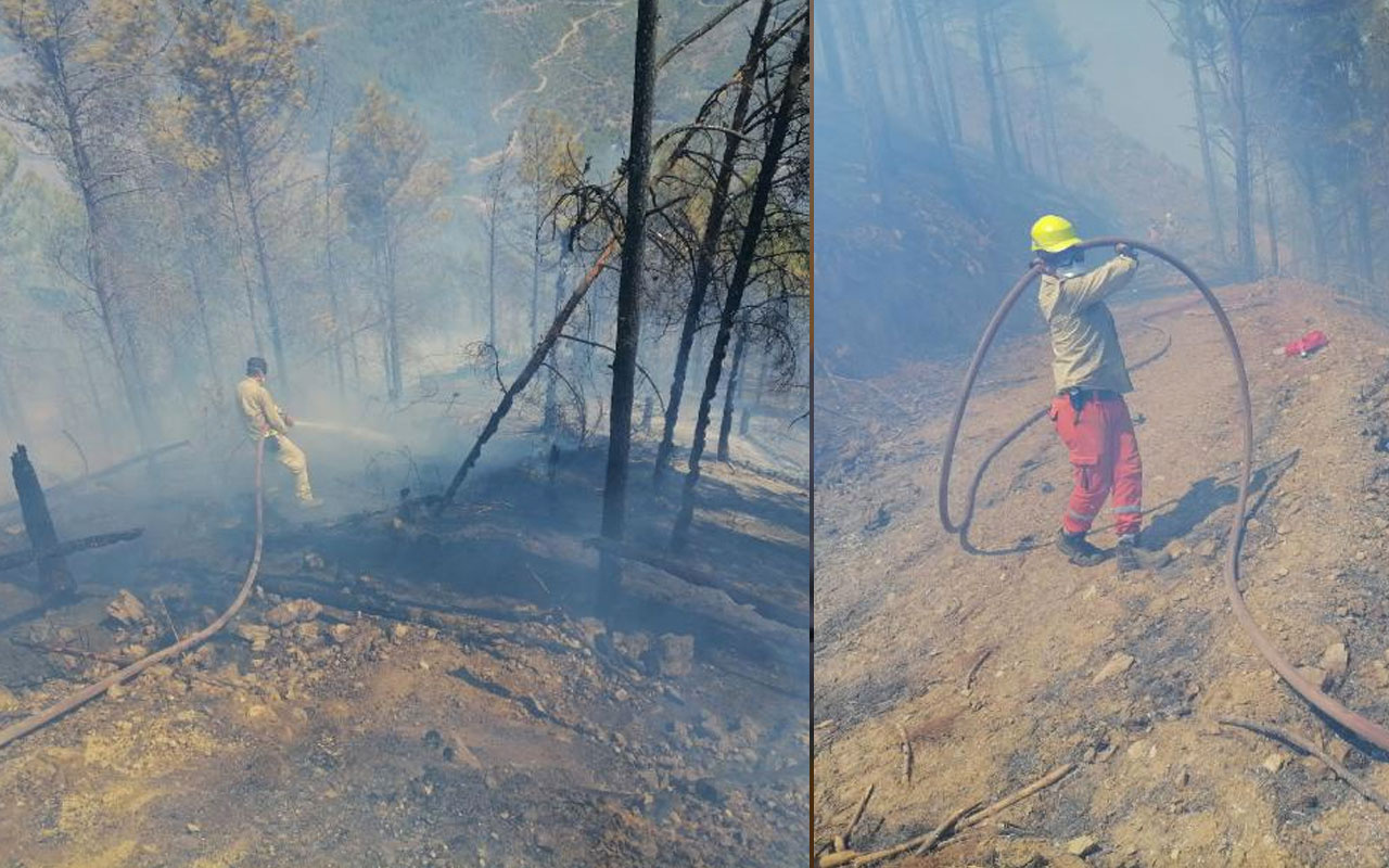 Anamur'da korkutan orman yangını! Havadan ve karadan müdahale ediliyor