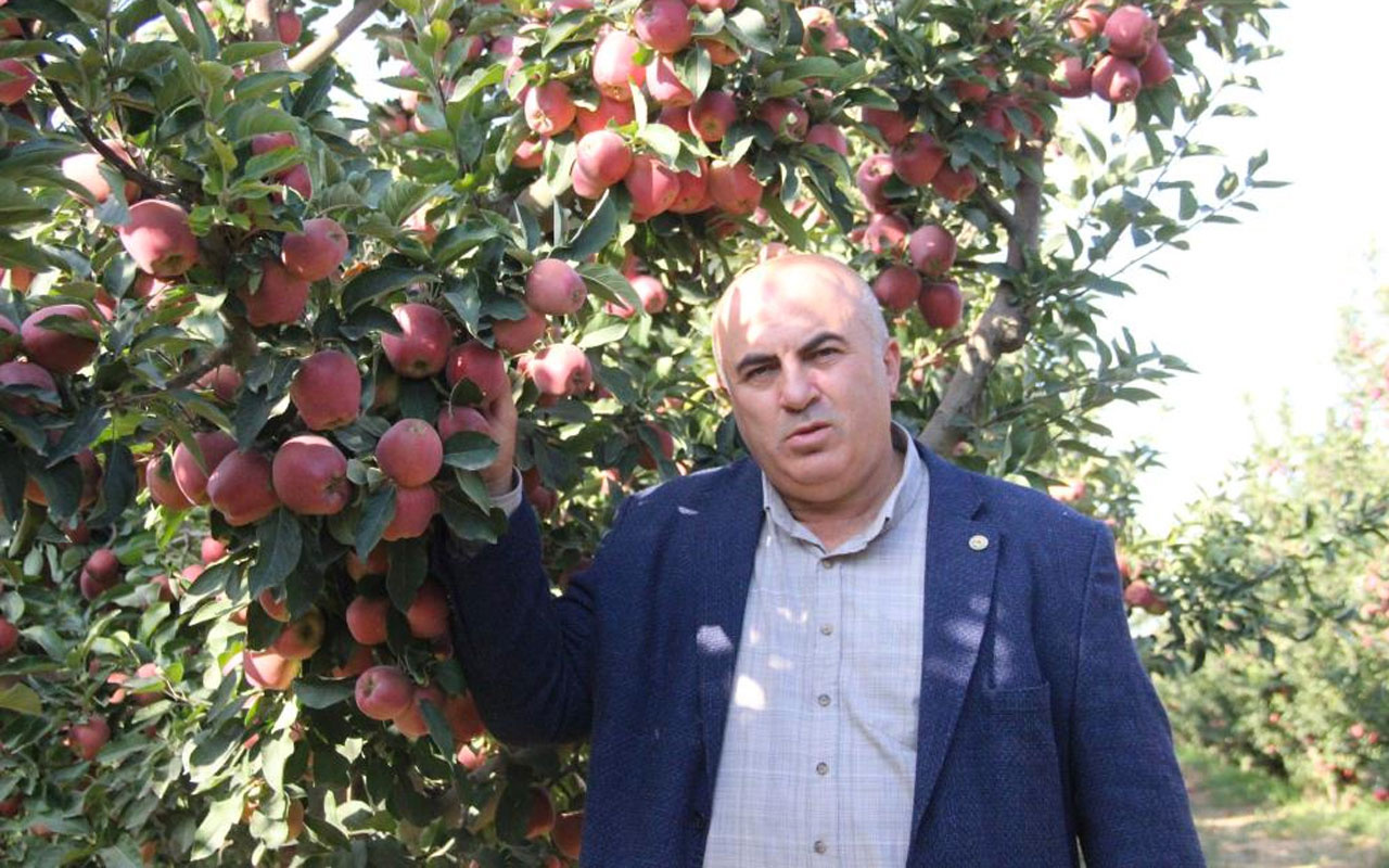 Karaman'da dalında 1.5 lira olan elma 3 km ötedeki markette 6 lira