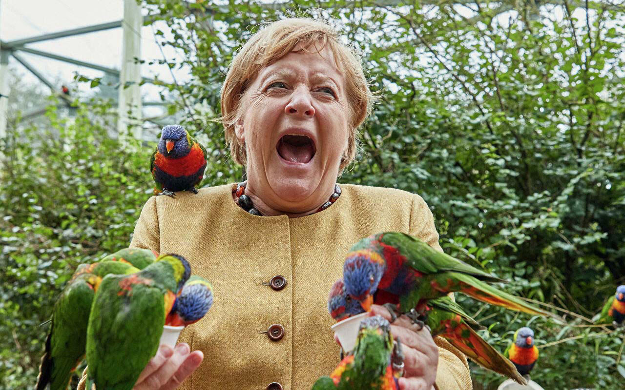 Vedaya hazırlanan Almanya Başbakanı Merkel'i kuşlar sardı