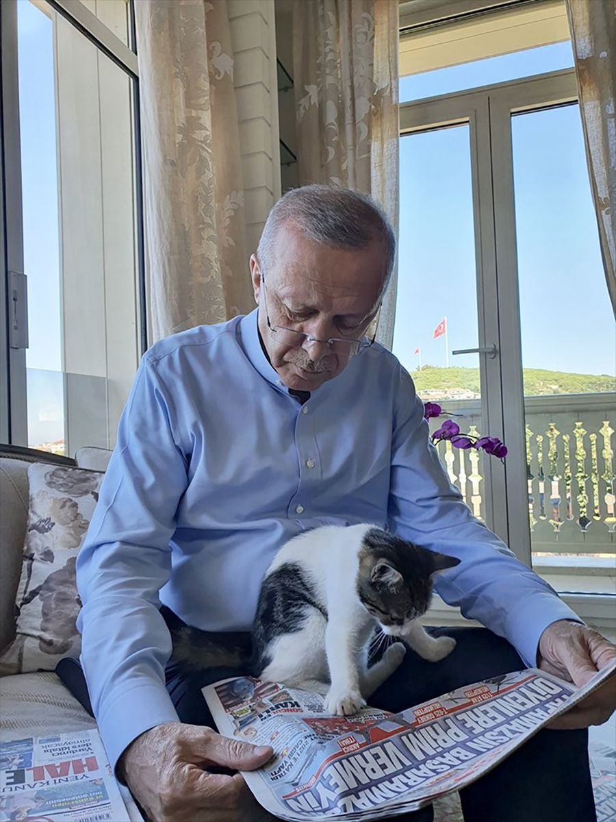 Cumhurbaşkanı Erdoğan torunu Canan Aybike'nin kedisiyle fotoğrafını paylaştı