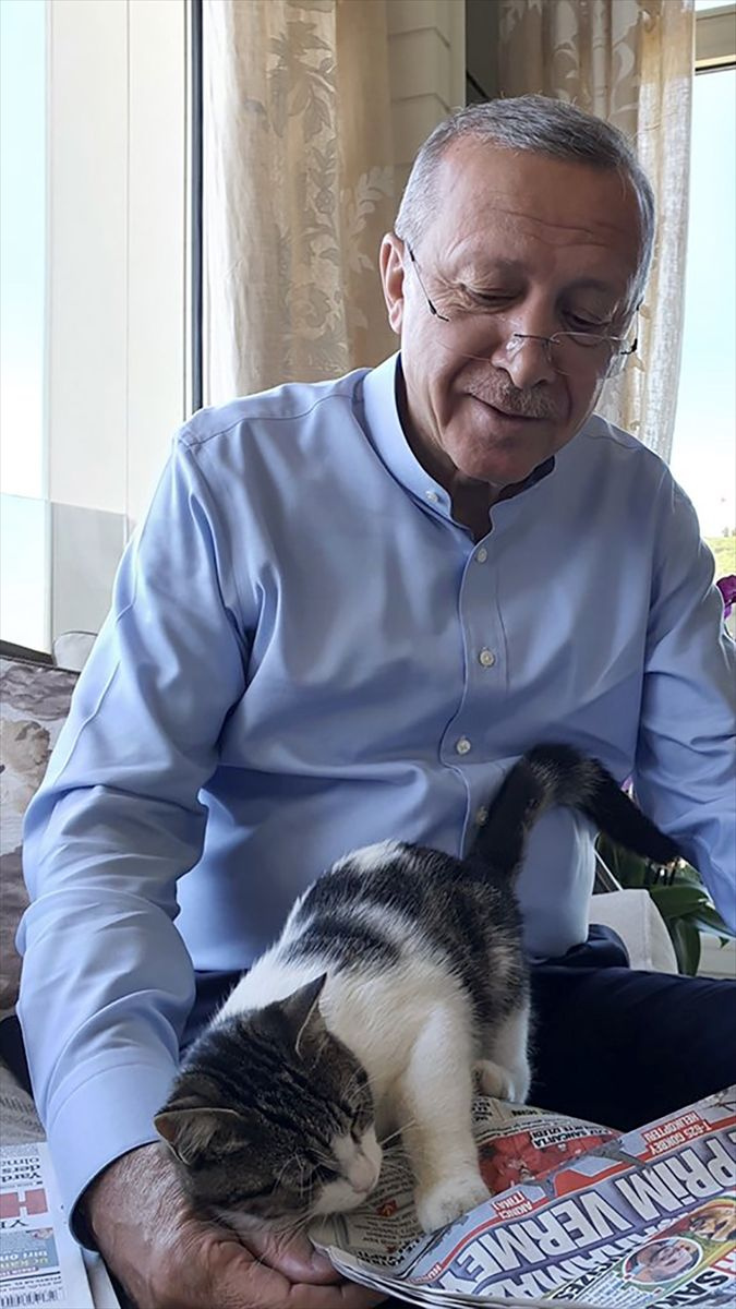 Cumhurbaşkanı Erdoğan torunu Canan Aybike'nin kedisiyle fotoğrafını paylaştı