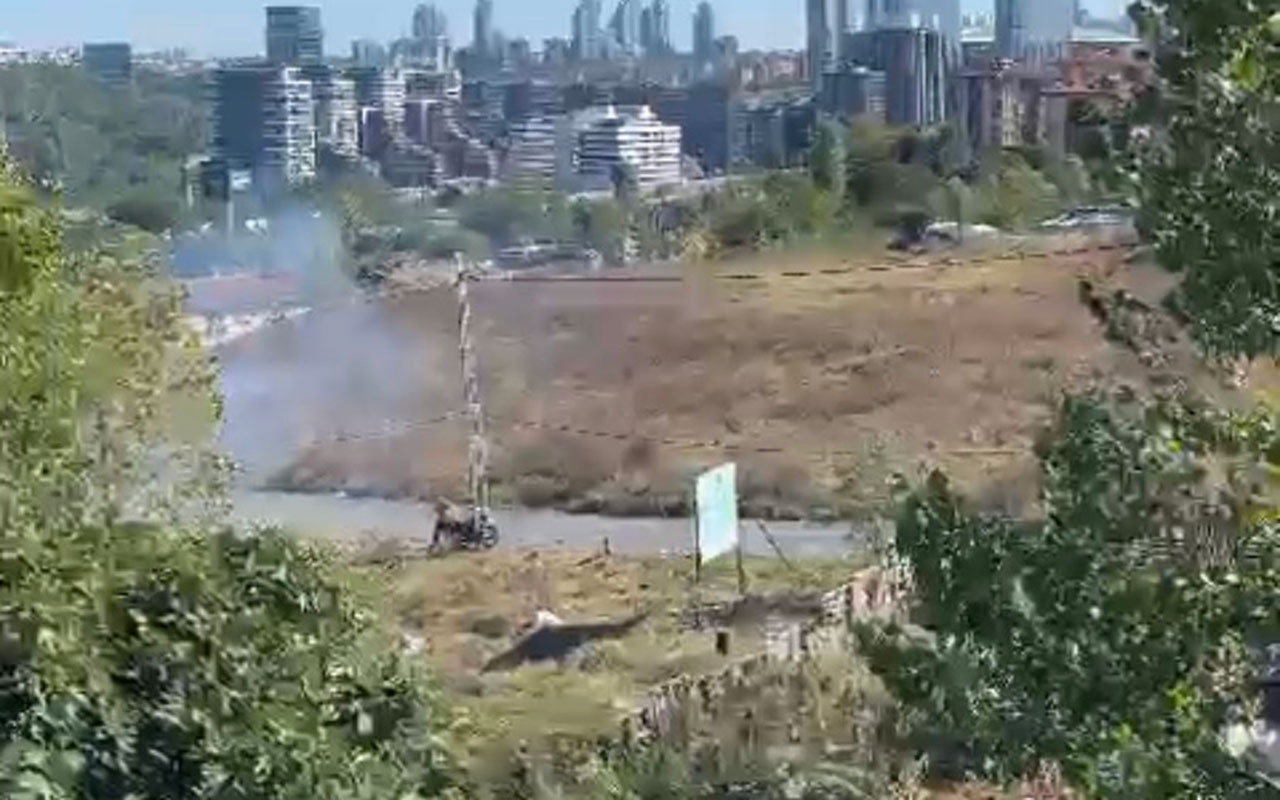 İstanbul'da ihanet kamerada! Yeşil alanı ateşe verdi motosikletle kaza yapınca yakalandı