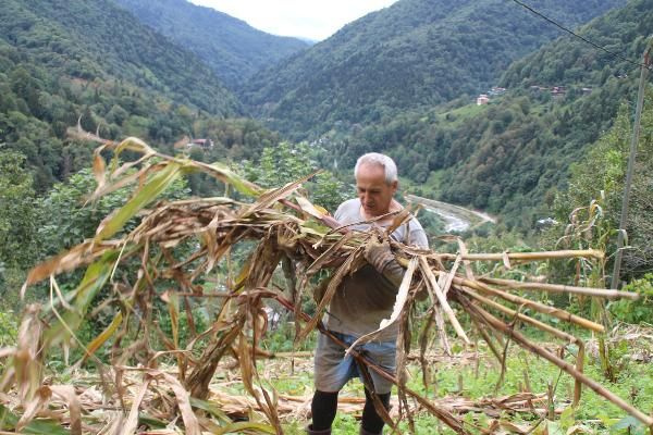 Büyükelçi Myanmar'a gidemedi Rize'deki köyüne döndü: Şimdi önemi arttı