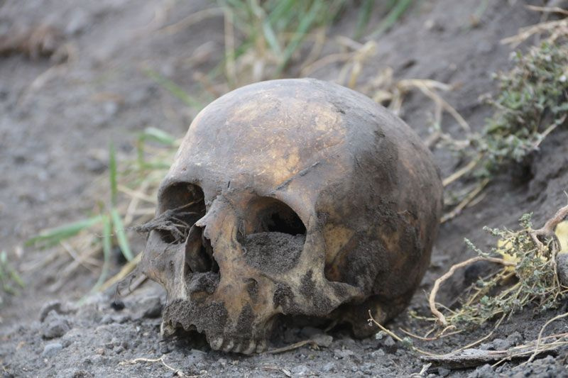 Erzurum'da korkutan görüntü: Her yerden kafatası ve kemikler çıkıyor