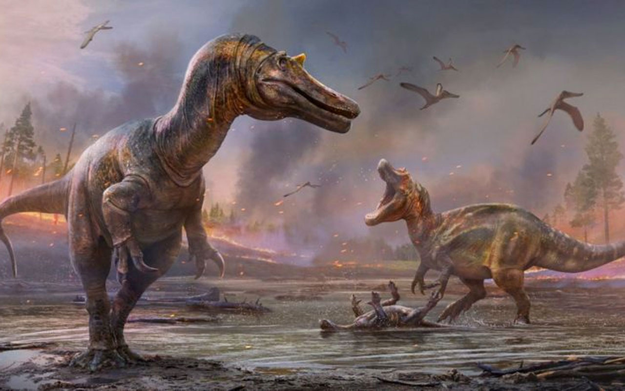 İngiltere’de yeni dinozor türleri bulundu