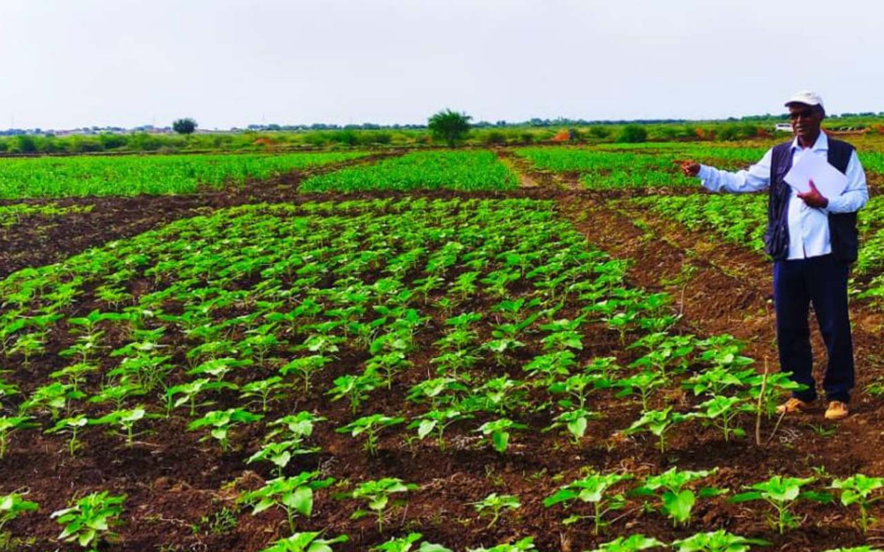 Sudan'da Türk tohumu üretilecek! 100 bin hektarı Türkiye'nin işleyeceği açıklanmıştı!