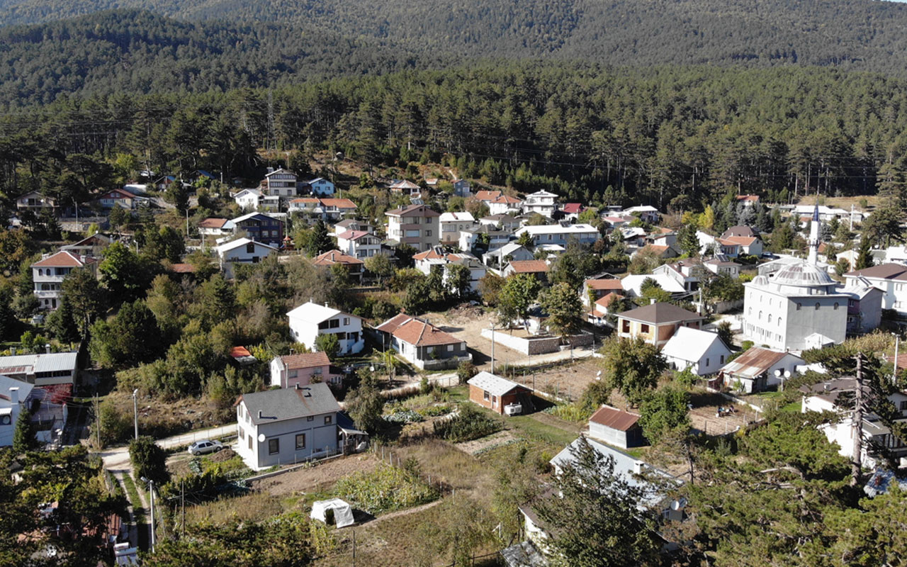 Bursa'daki bu köyde ev fiyatları 3 milyon lirayı buluyor sebebi de...