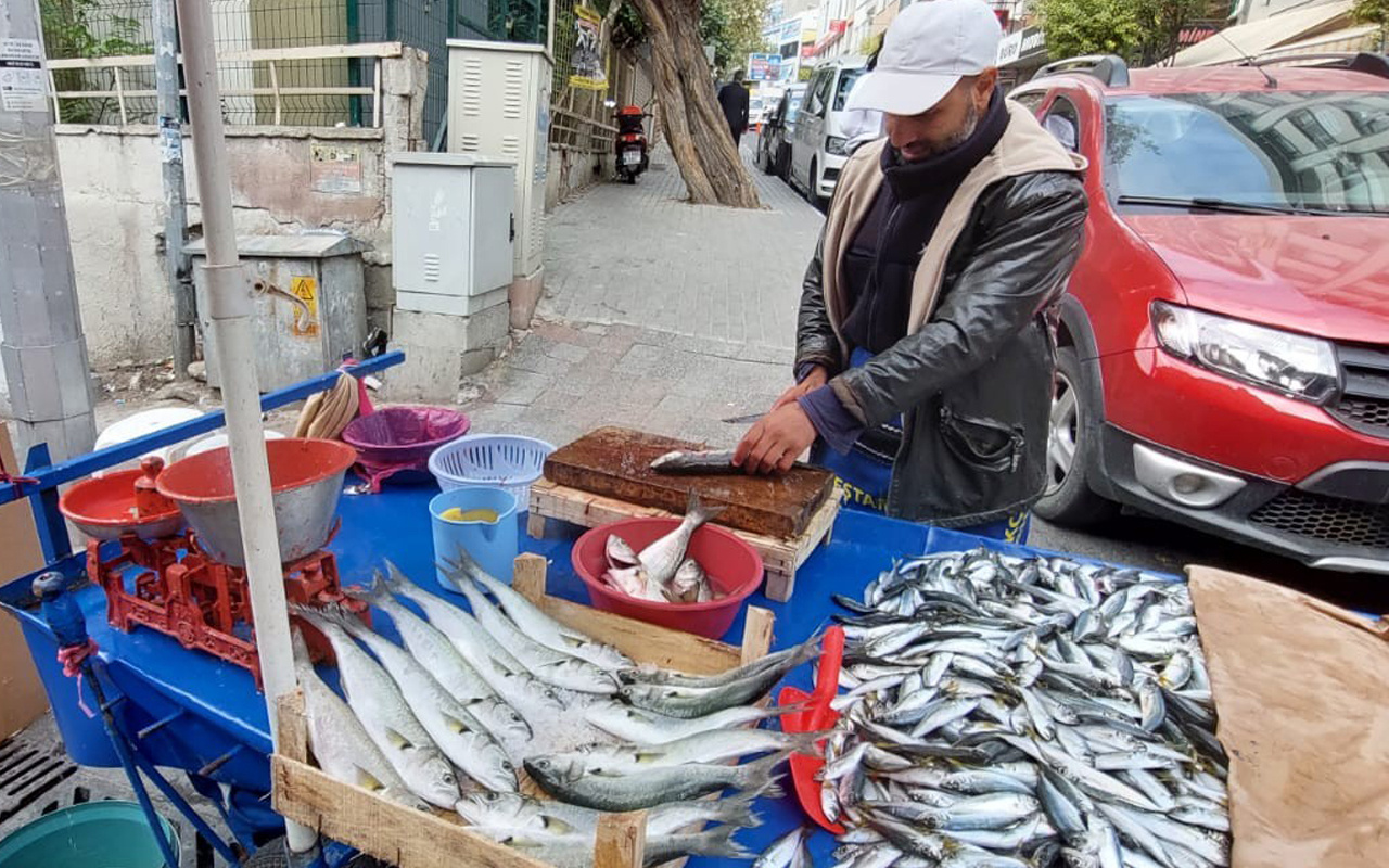 Lüfer bolluğu yaşadı fiyatı düştü: 15 seneden sonra ilk defa satıyorum