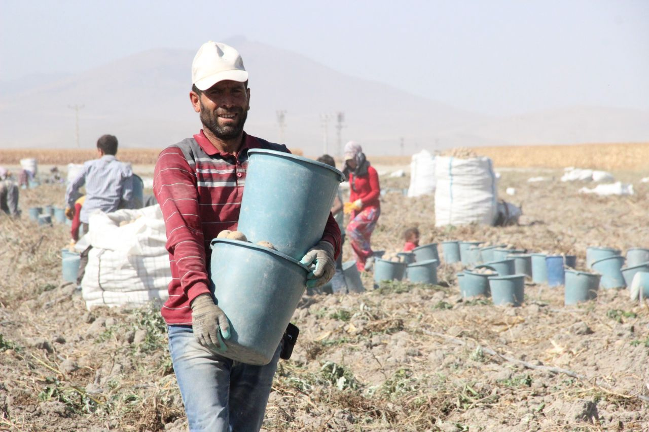 Karaman'da kovalar fırlatıldı gören şaştı kaldı: Fiyatlar yükselebilir